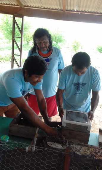 Meli Bees Network – screenshot 2