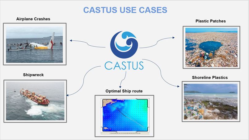 CASTUS  – screenshot 1