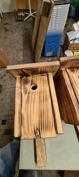 IoT for Biodiversity and Sustainability – screenshot 2