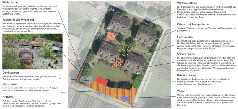 IoT for Biodiversity and Sustainability – screenshot 5