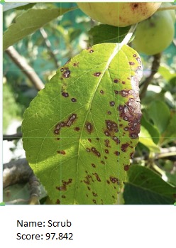 Hoori  – screenshot 8