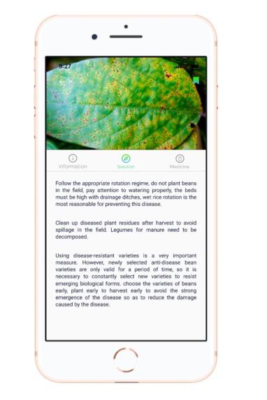 Hoori  – screenshot 6