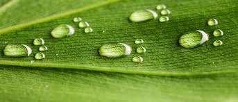 Make a Difference. Track Your Impact. – screenshot 1