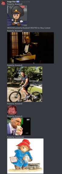 Discord Image Filter Bot – screenshot 2