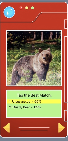 Poké-techs – screenshot 3