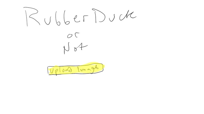 Rubber Duck or Not – screenshot 4