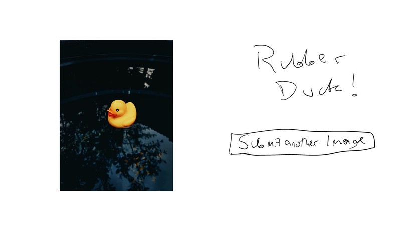 Rubber Duck or Not – screenshot 5