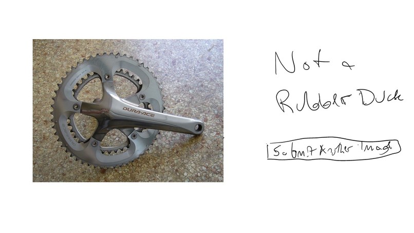 Rubber Duck or Not – screenshot 6