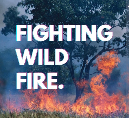 Feature Phones To The Rescue – screenshot 1