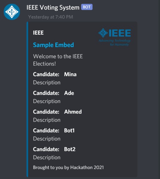 Run-off VoterBot – screenshot 2