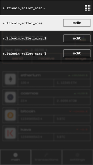 Satellite wallet – screenshot 11