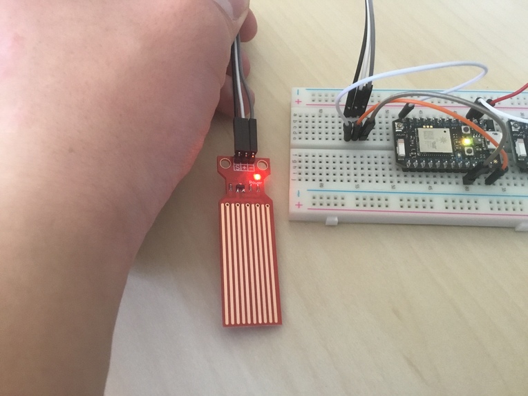 Flowr – screenshot 1