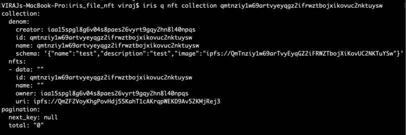 Iris File NFT – screenshot 2