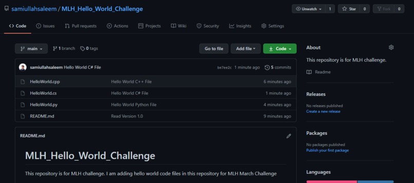 Hello World Code Challenge – screenshot 1