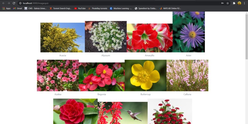 Build with Starter Pack Using Node.js – screenshot 2