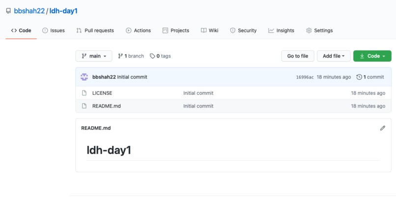 Set up project and write hello world in pearl – screenshot 1