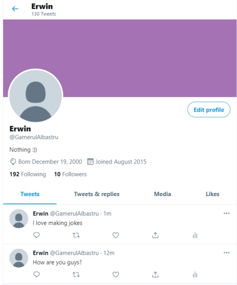 Twitter bot – screenshot 1