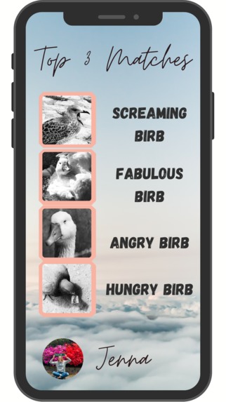 Bird ID App Redesigned – screenshot 3