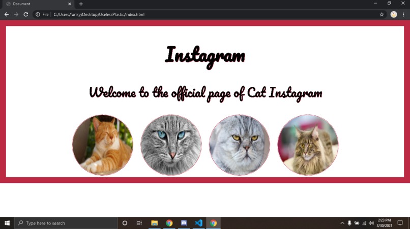 Catstagram – screenshot 1