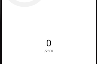 Step Counter