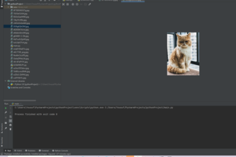 Web Scraping Application