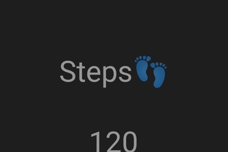 Step counter
