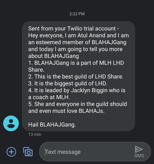 BLAHAJGang Sevices – screenshot 1