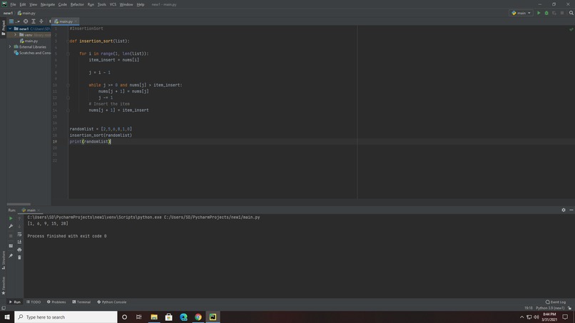 Insertion Sort – screenshot 1