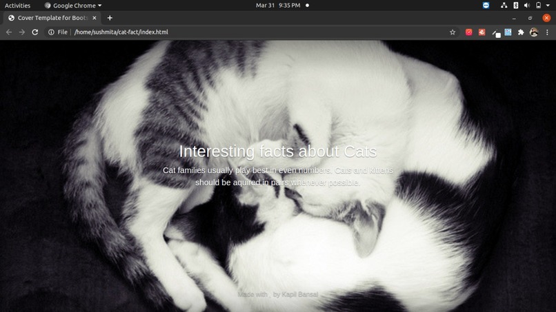 Cat Facts – screenshot 2