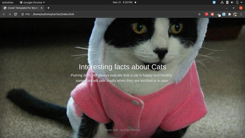 Cat Facts – screenshot 3