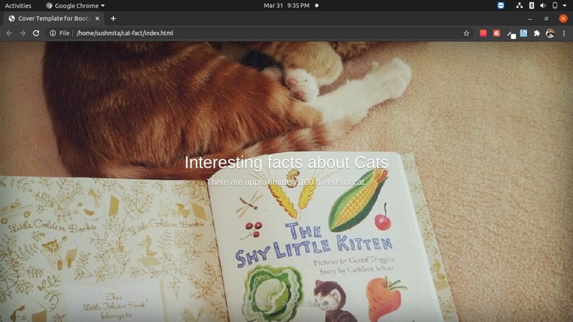 Cat Facts – screenshot 4