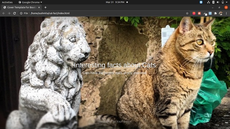 Cat Facts – screenshot 5
