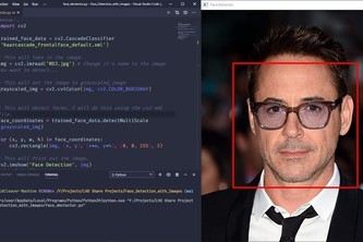 Face Detection
