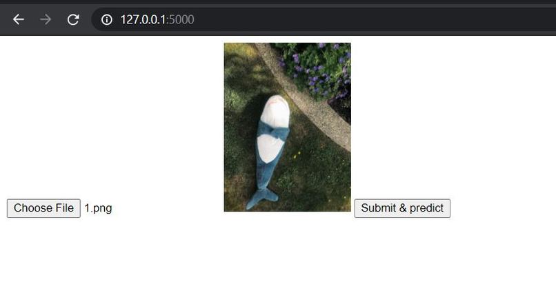 BlahajMelonSegregation – screenshot 1