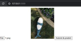 BlahajMelonSegregation