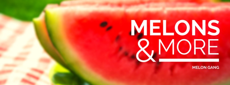 MelonGang Brand Concept – screenshot 2