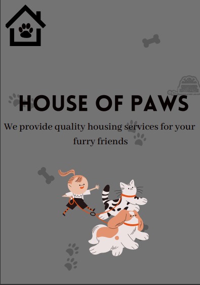 Brand Concept – screenshot 1