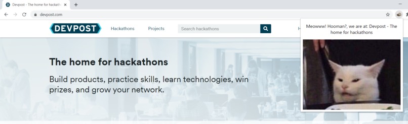 Chrome Extension: Snoopy, where are we? – screenshot 1