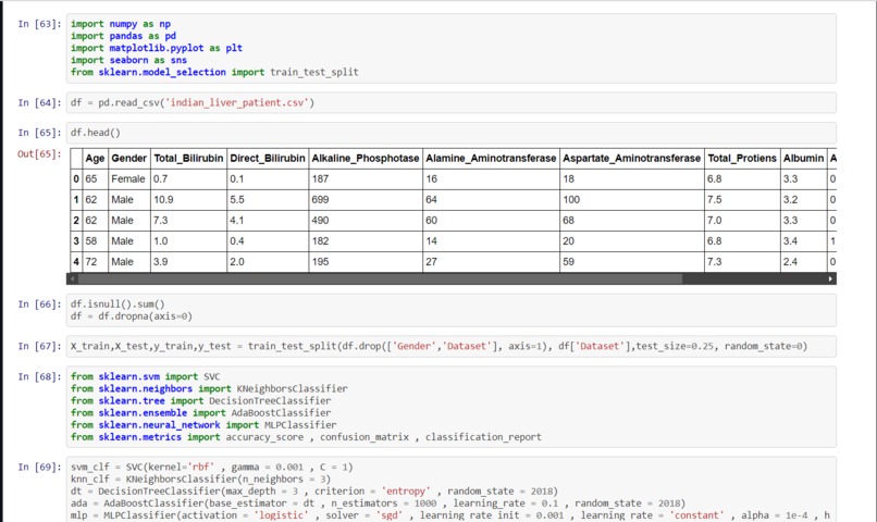 Liver Disease Predictor – screenshot 1