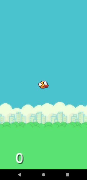 Flappy Bird Game – screenshot 1