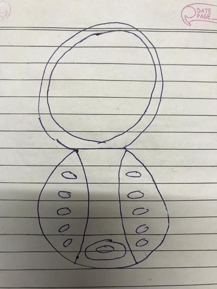 Phone Layout – screenshot 1