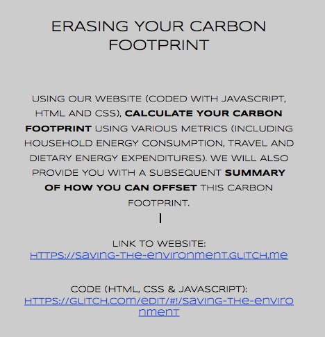 Offsetting Carbon Footprint  – screenshot 1