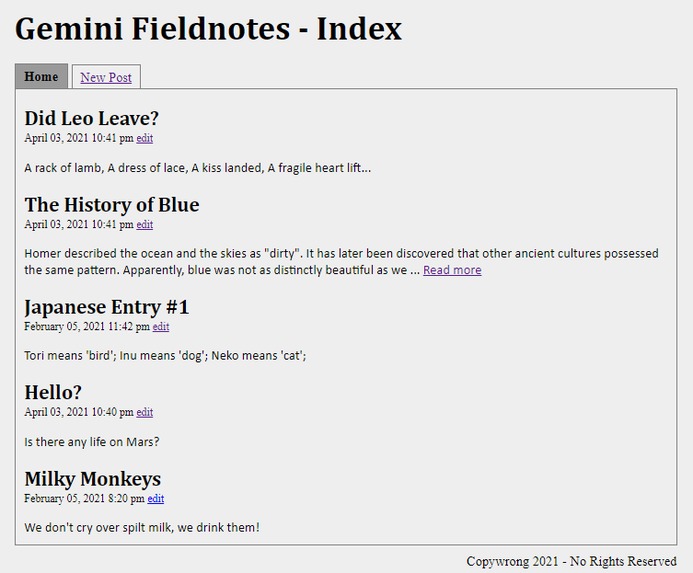Dummy Blog – screenshot 1