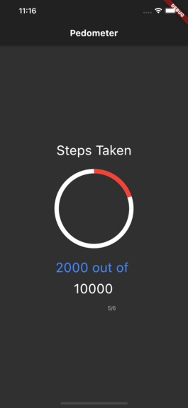 Pedometer – screenshot 1