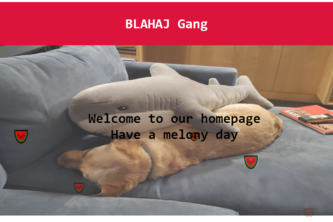 Webpage for guild