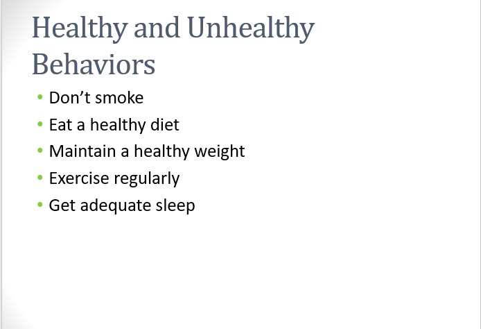 Presentation – screenshot 4