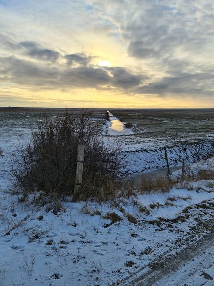 KAL-VEDDER  – screenshot 1