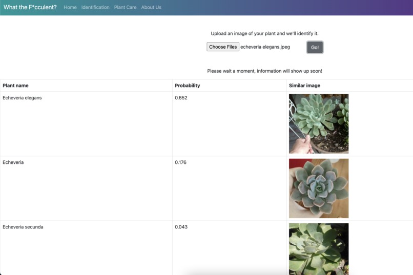 What the Succulent? – screenshot 2
