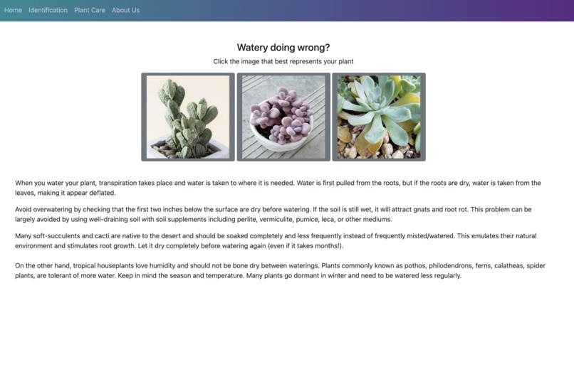 What the Succulent? – screenshot 3