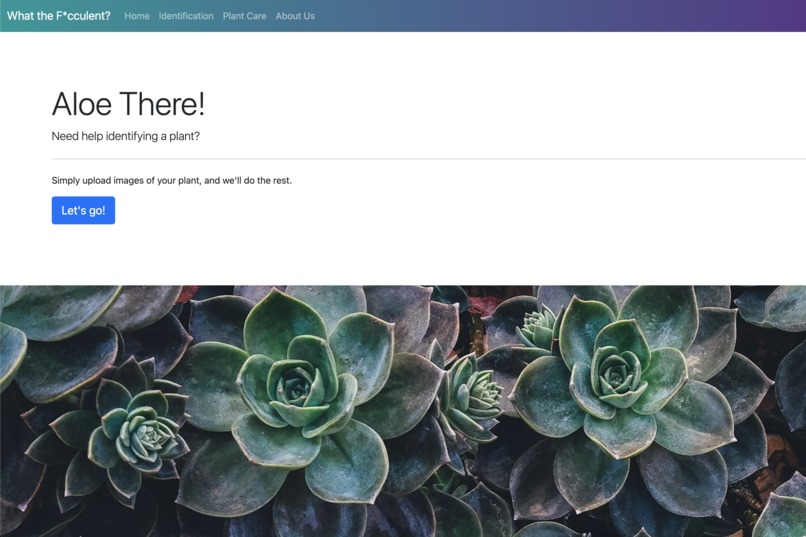 What the Succulent? – screenshot 1